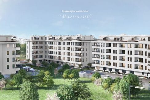 комлекс магнолия