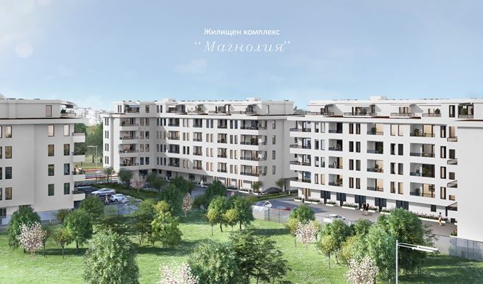 комлекс магнолия