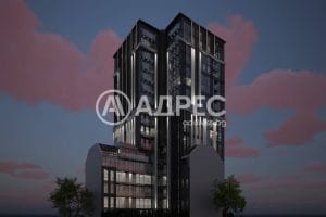 sofia-verticale-2