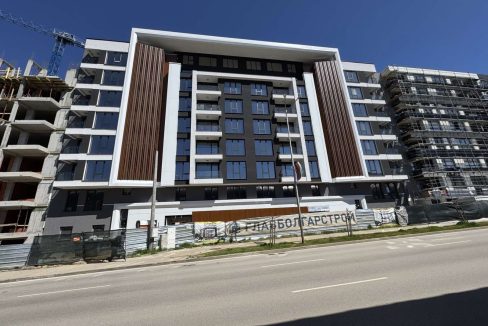tiliya-1