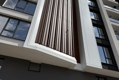 tiliya-2